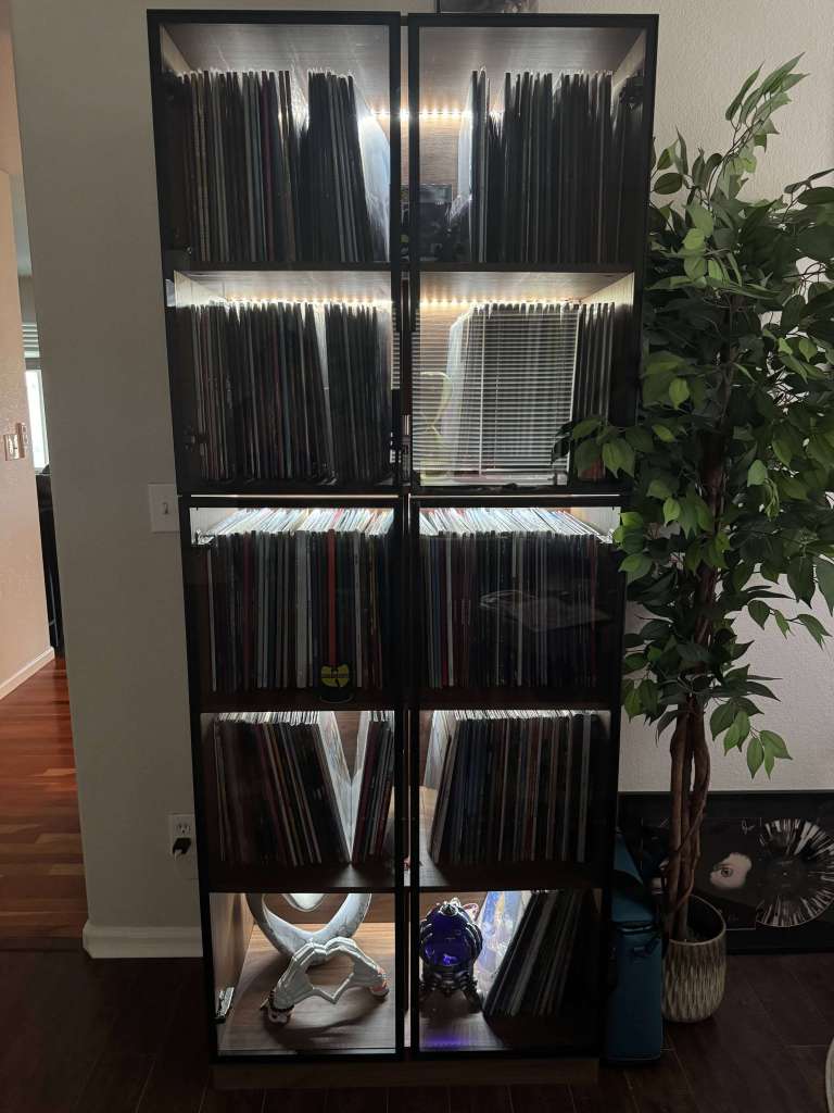 A black-framed glass cabinet displaying an organized vinyl record collection on lit shelves. Lower compartments feature angled records and decorative ornaments, while a potted plant stands to the right, adding greenery to the space.
