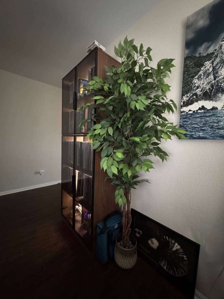 A tall glass-door vinyl record shelf lit with warm LED lights, sitting beside a large potted plant in a cozy listening room corner.