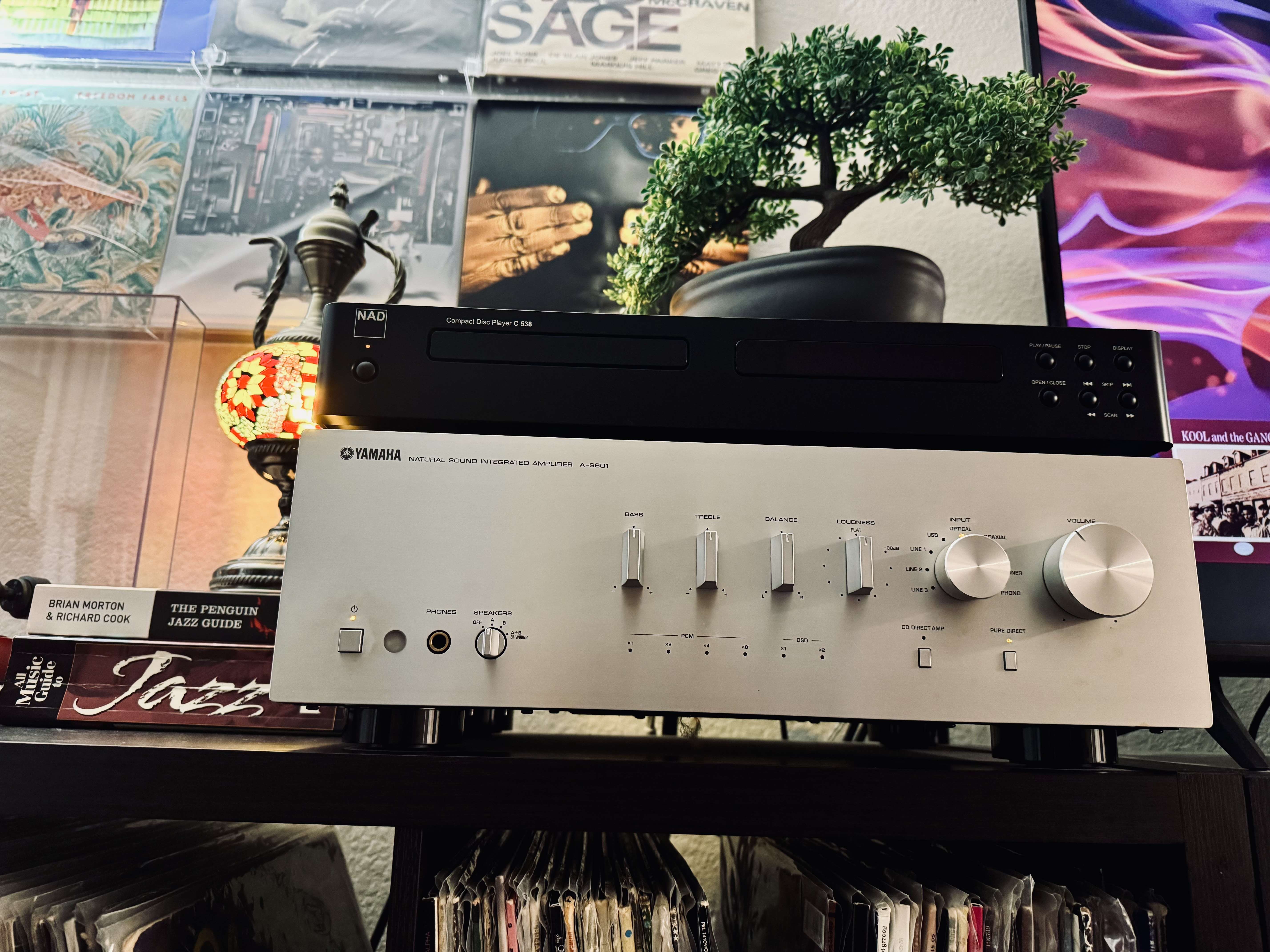 A Yamaha A-S801 integrated amplifier with silver knobs sits below a NAD C 538 CD player. A bonsai plant and colorful mosaic lamp decorate the shelf, with vinyl records stacked underneath.