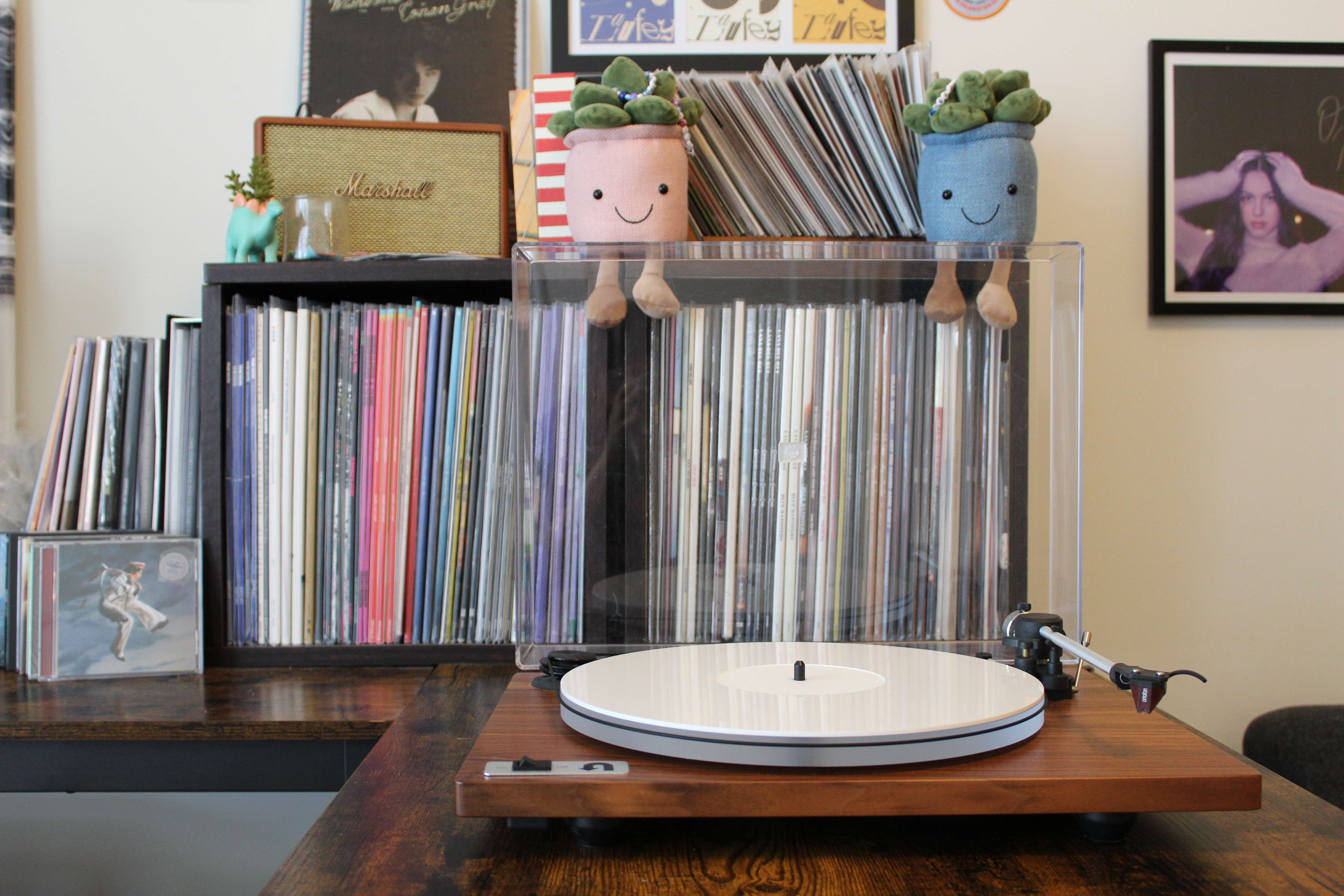 Vinyl Setup 5