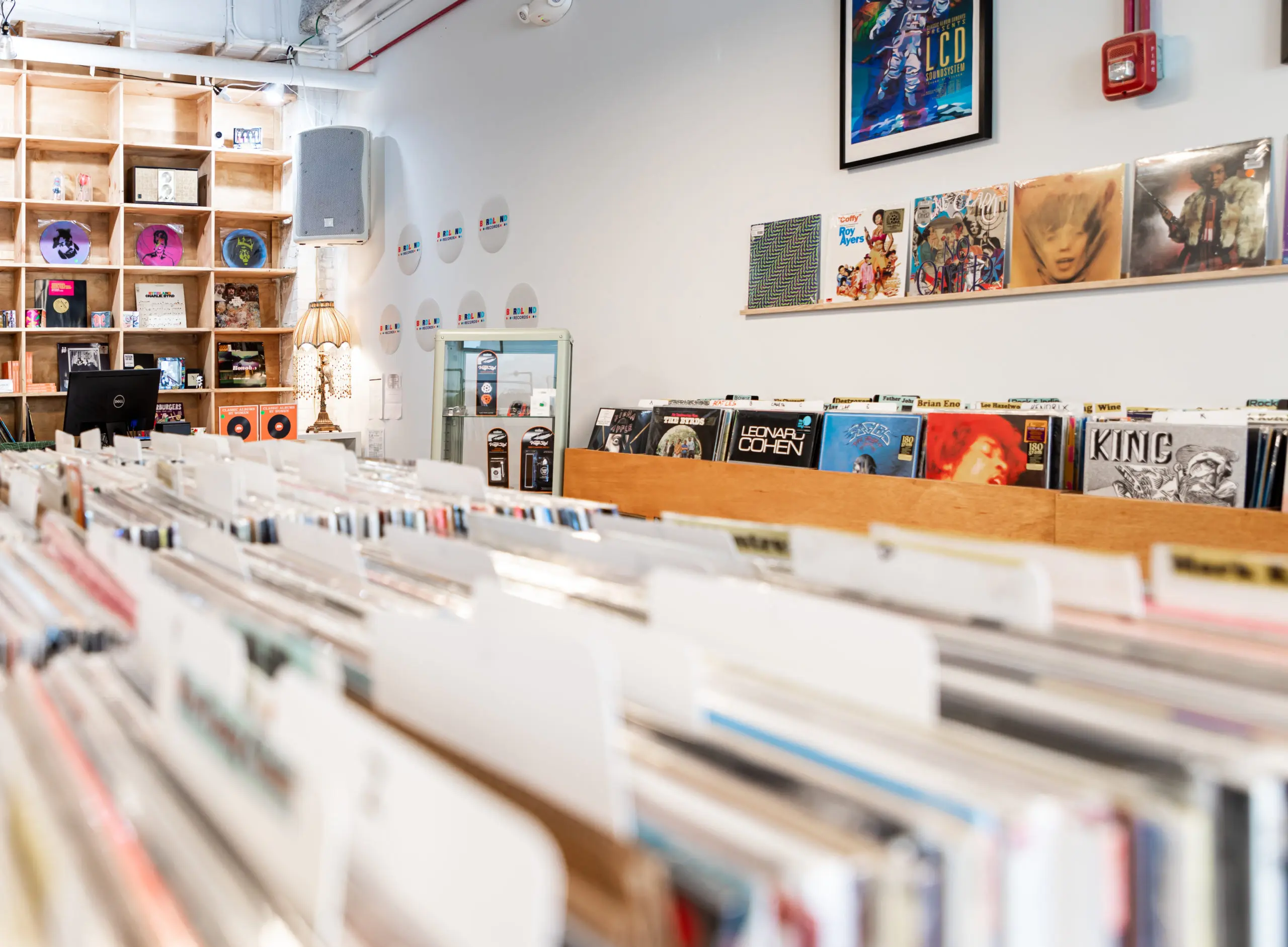 Bright, modern shop with long rows of LP bins; wall ledge of featured albums, cubby shelving, and a vintage lamp.